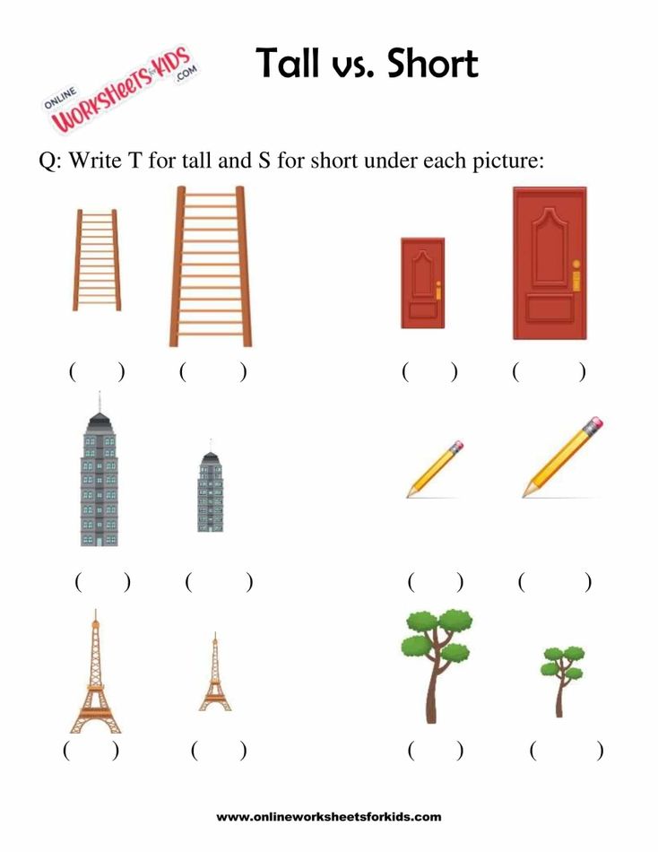 Circle The Taller Or Shorter Object 10