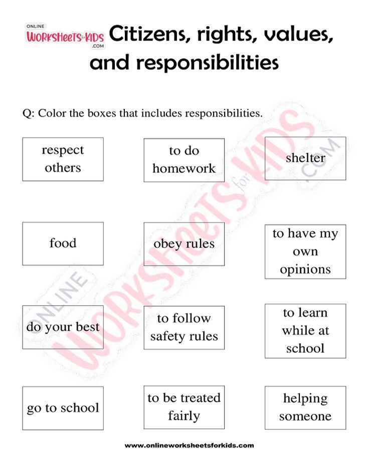 Citizen Rights and Responsibilities Worksheet 04