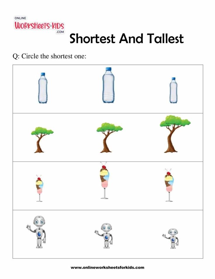 Shortest And Tallest 7