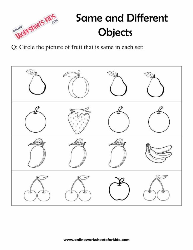 Circle The Object That Is The Same 10