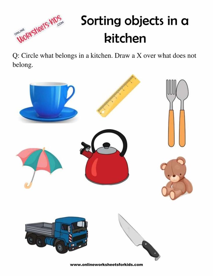 Sort The Objects 4