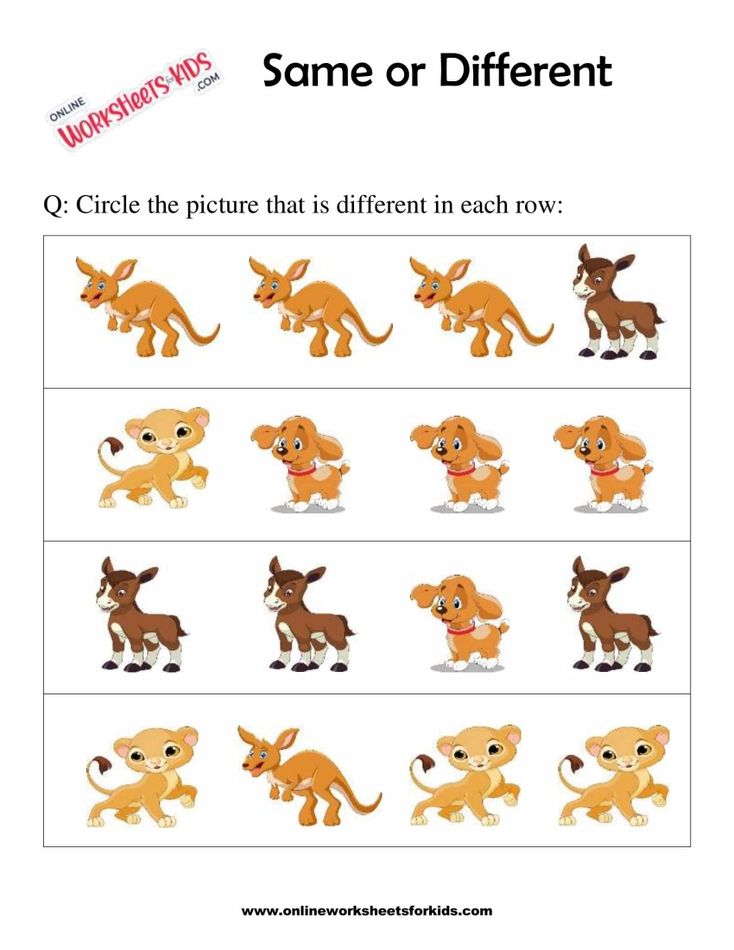 Same or Different Worksheets 8