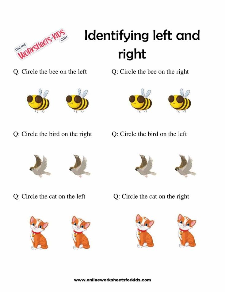 Left And Right Worksheets 5