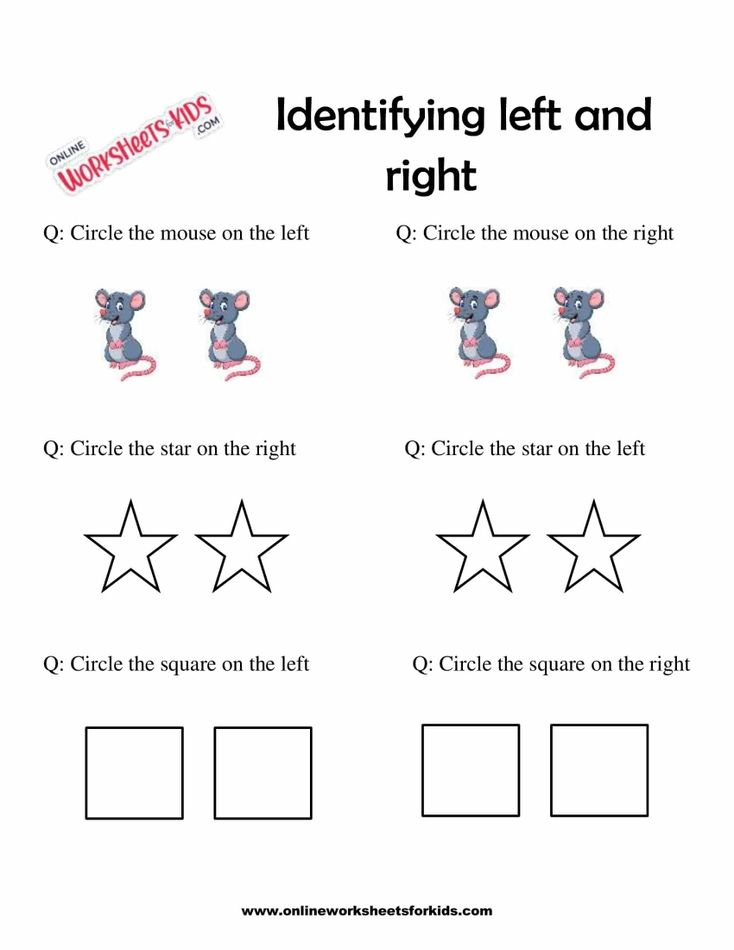 Left And Right Worksheets 6