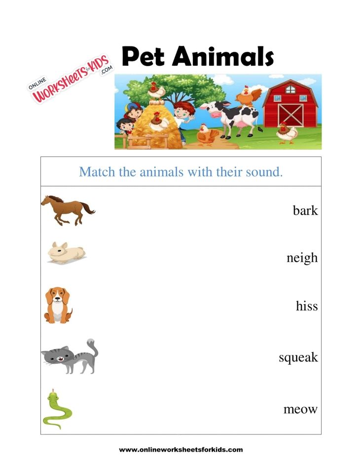 Pet Animals Worksheet 5