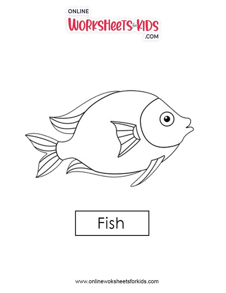 Fish