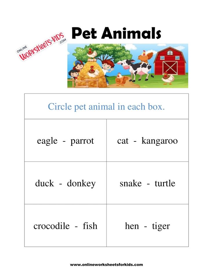 Pet Animals Worksheet 8