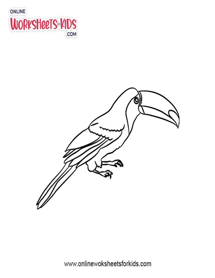 Toucan Coloring