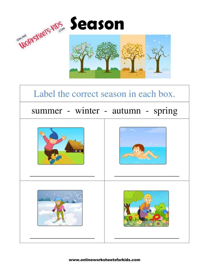 Season Worksheet 5