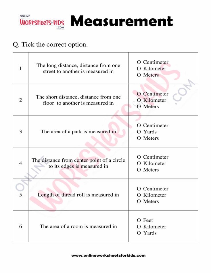 Measurement Worksheet Grade 3-02