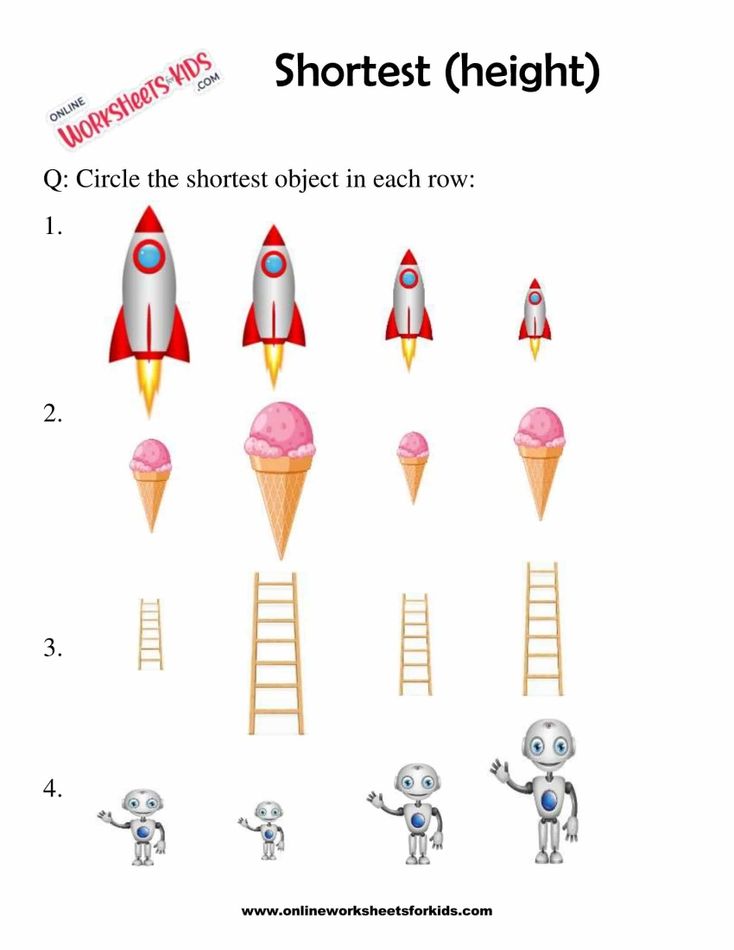 Identify The Tallest Or Shortest Picture 3