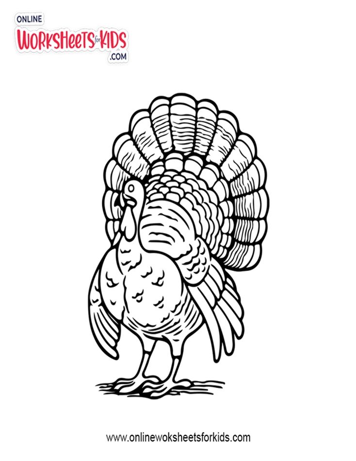Turkey Coloring