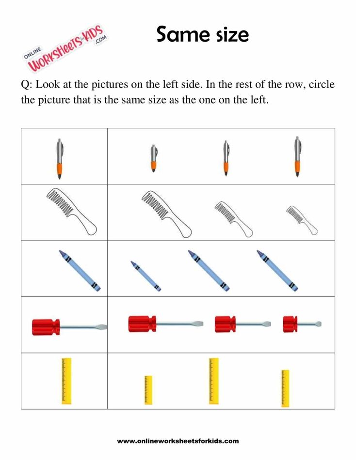 Circle The Picture Which Is The Same Size 4