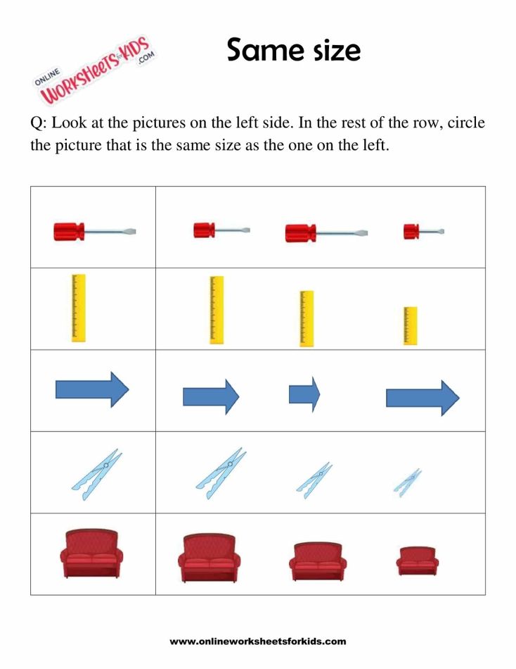 Circle The Picture Which Is The Same Size 3