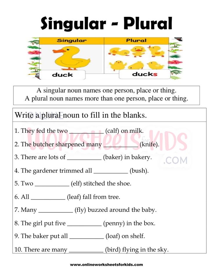 Singular and Plural Nouns FB Worksheet 6