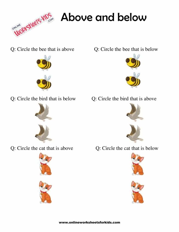 Above and Below Worksheets 5