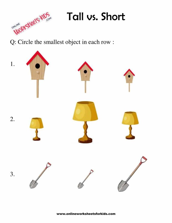 Circle The Taller Or Shorter Object 8