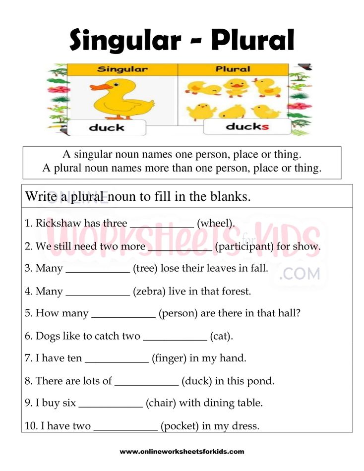 Singular and Plural Nouns FB Worksheet 9