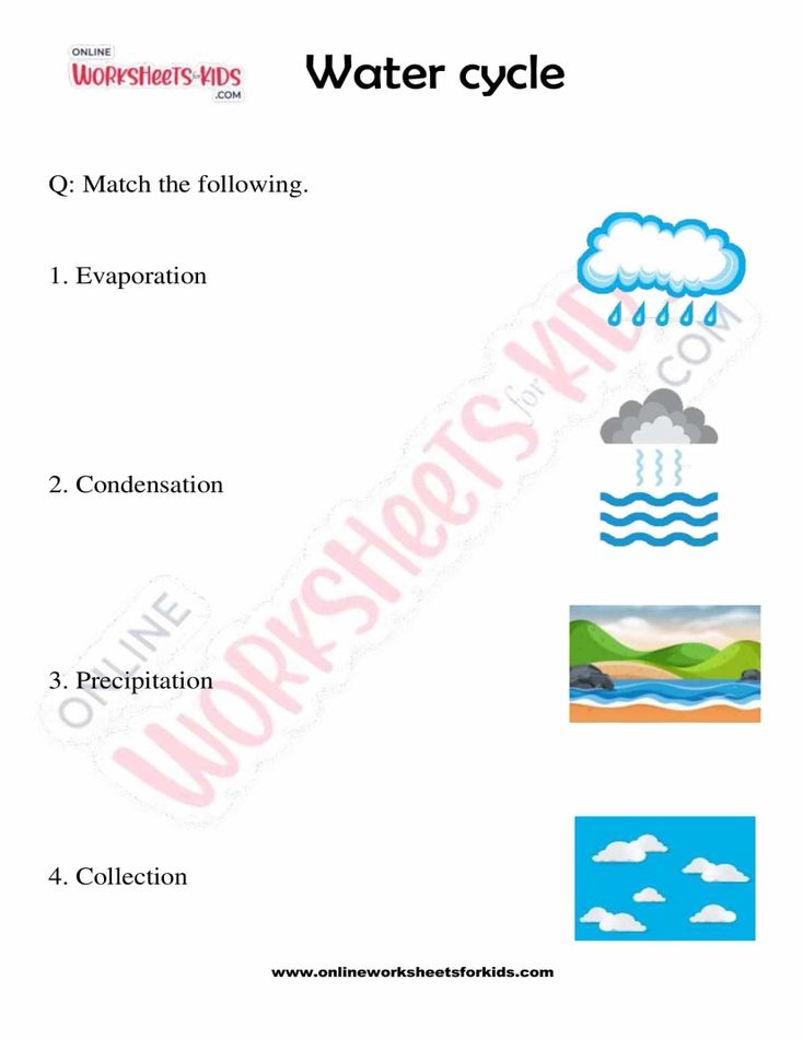 Water cycle worksheets For Kids 04