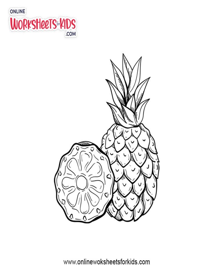 Pineapple Coloring