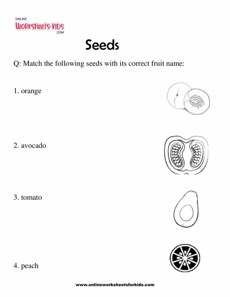 Seeds 2