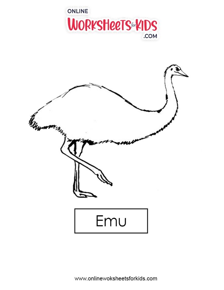 Emu