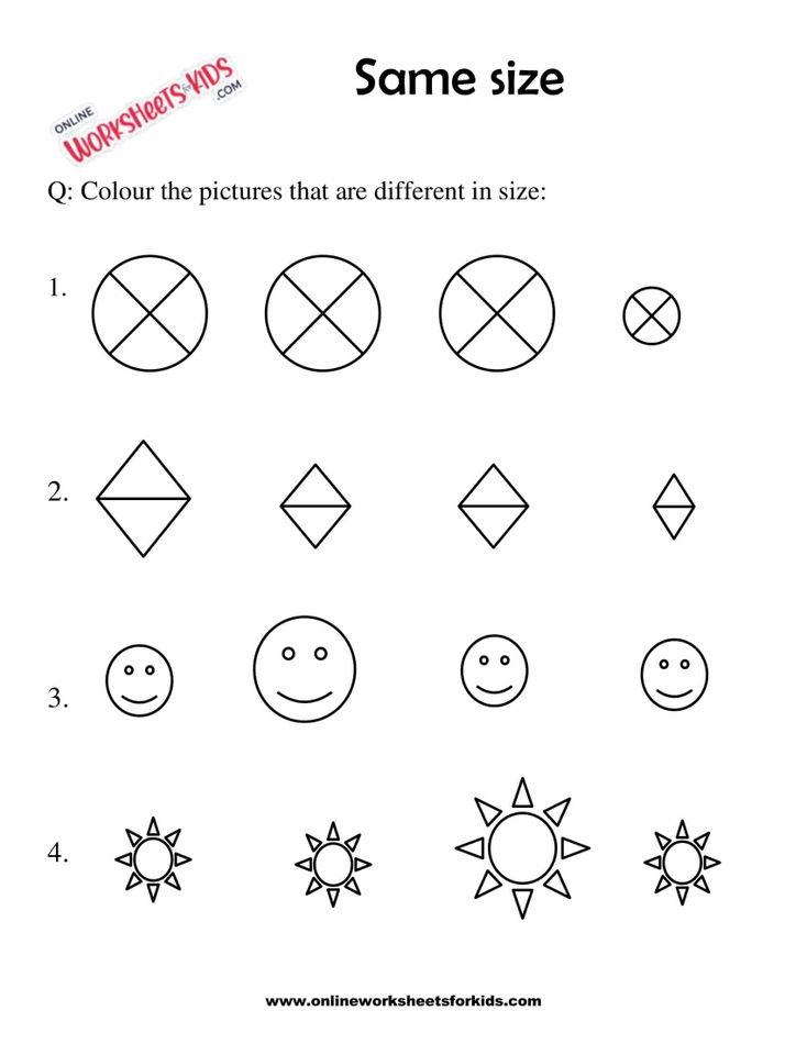 Circle The Picture Which Is The Same Size 9