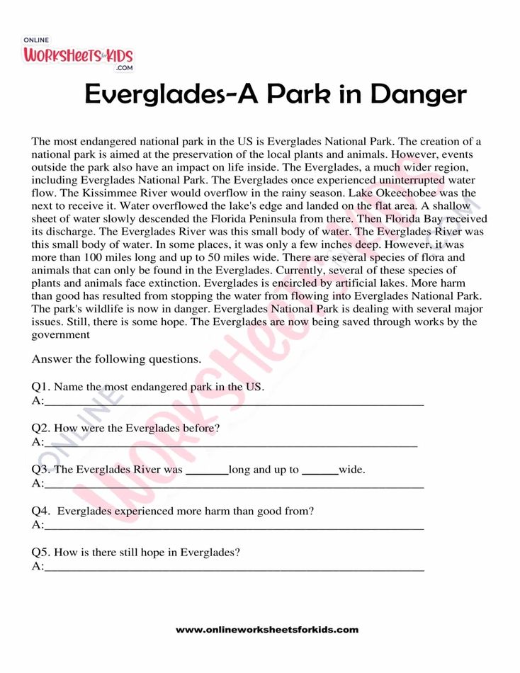 Everglades-A Park in Danger