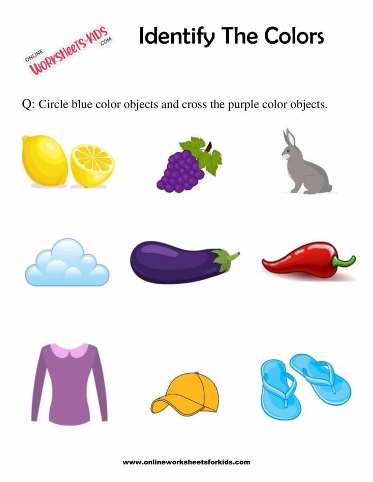 Identify The Colors 4