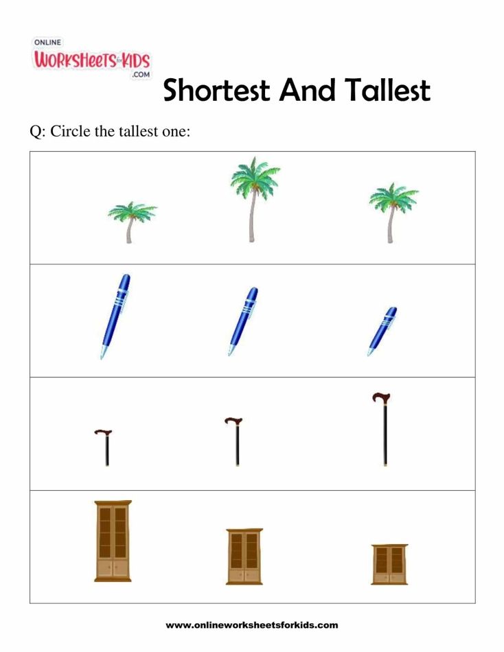 Shortest And Tallest 5