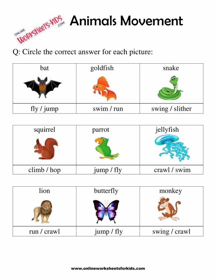 Animals Movement Worksheets For 1st Grade 5