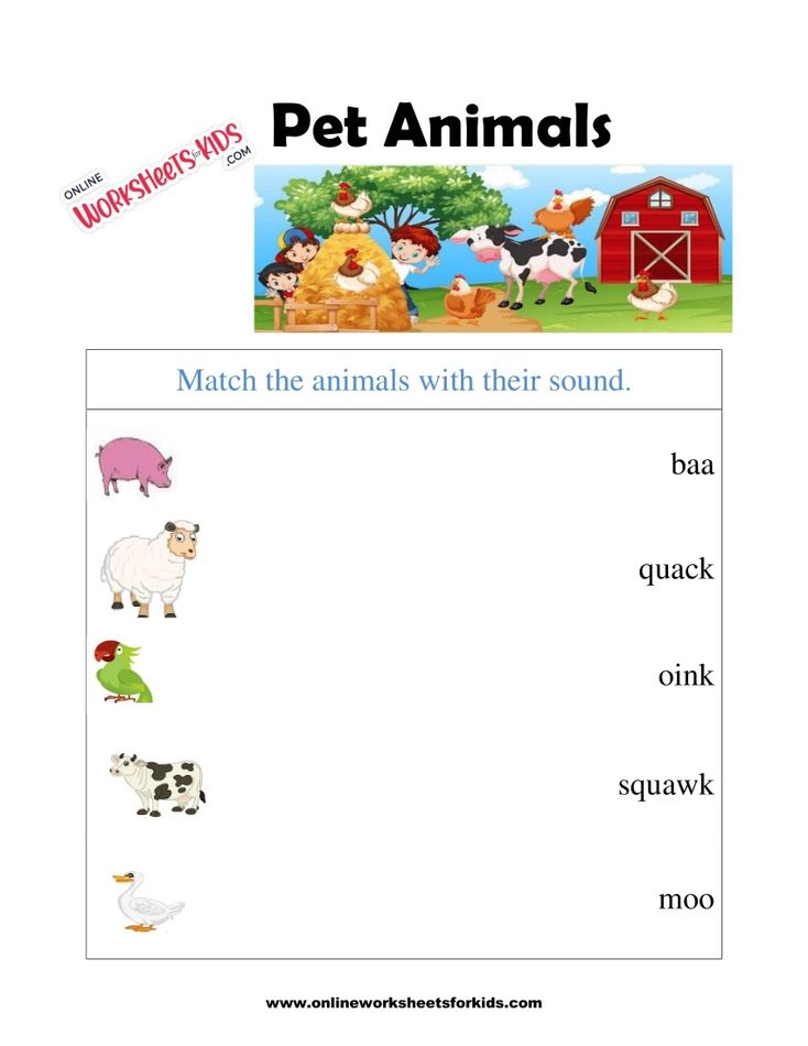 Pet Animals Worksheet 6