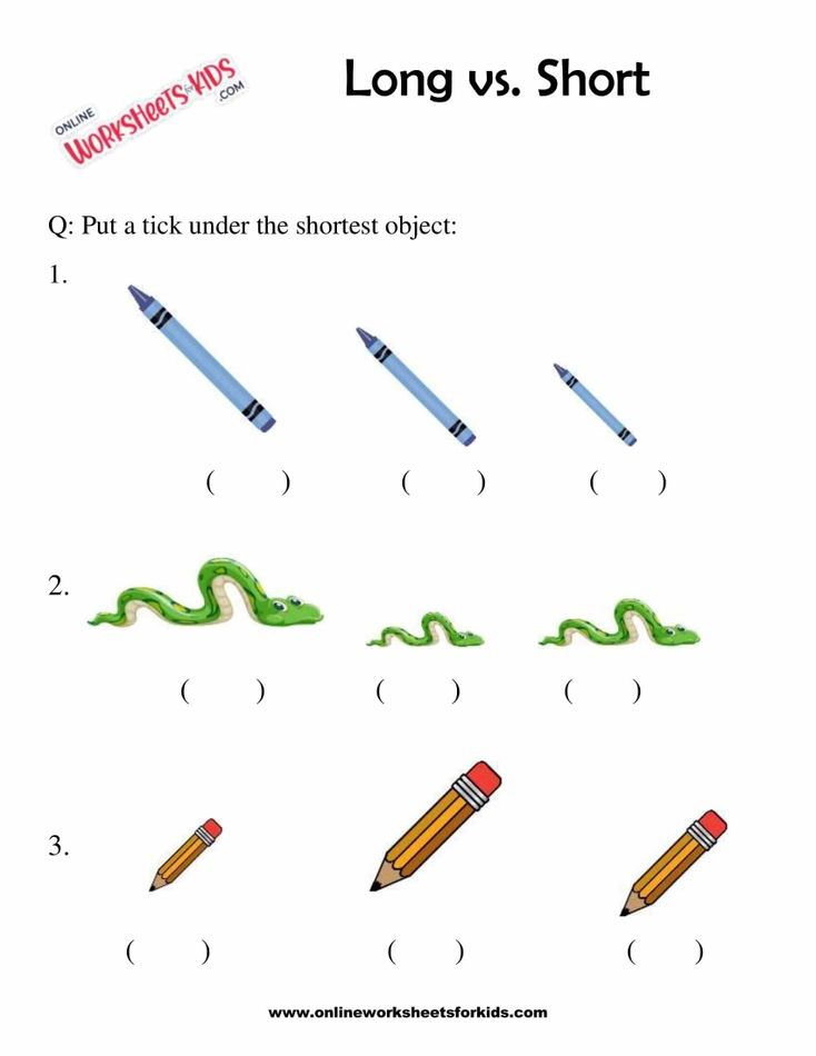 Circle The Longer Or Shorter Object 8