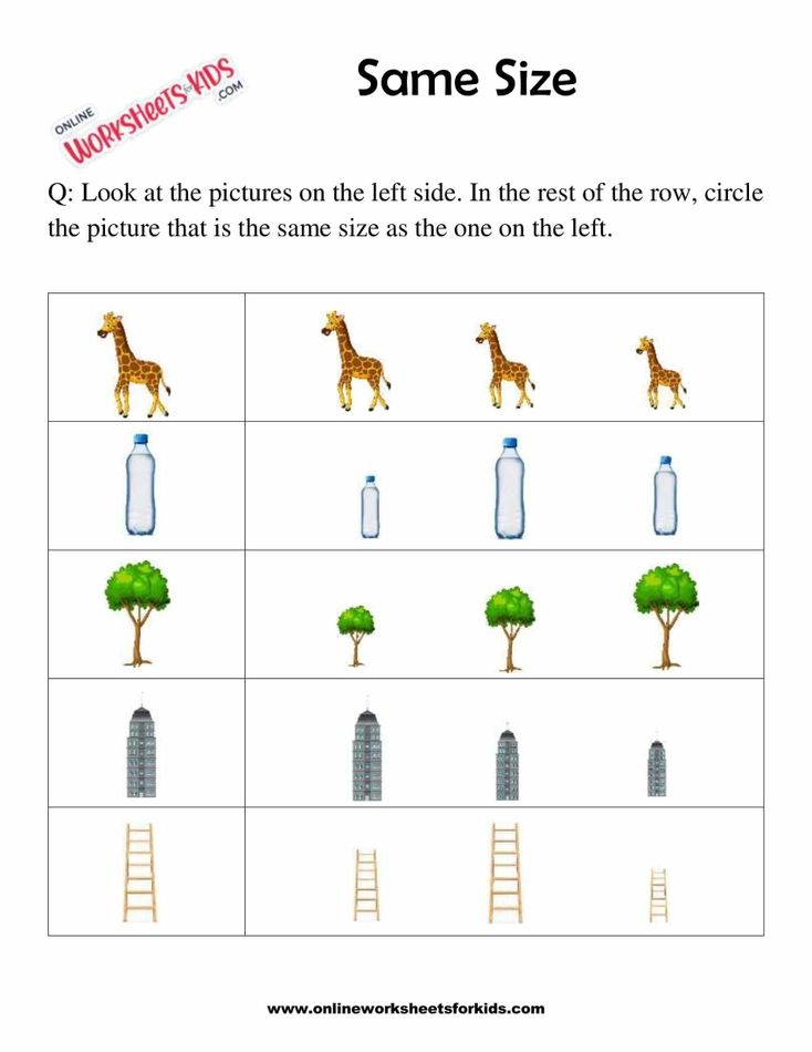 Circle The Picture Which Is The Same Size 1