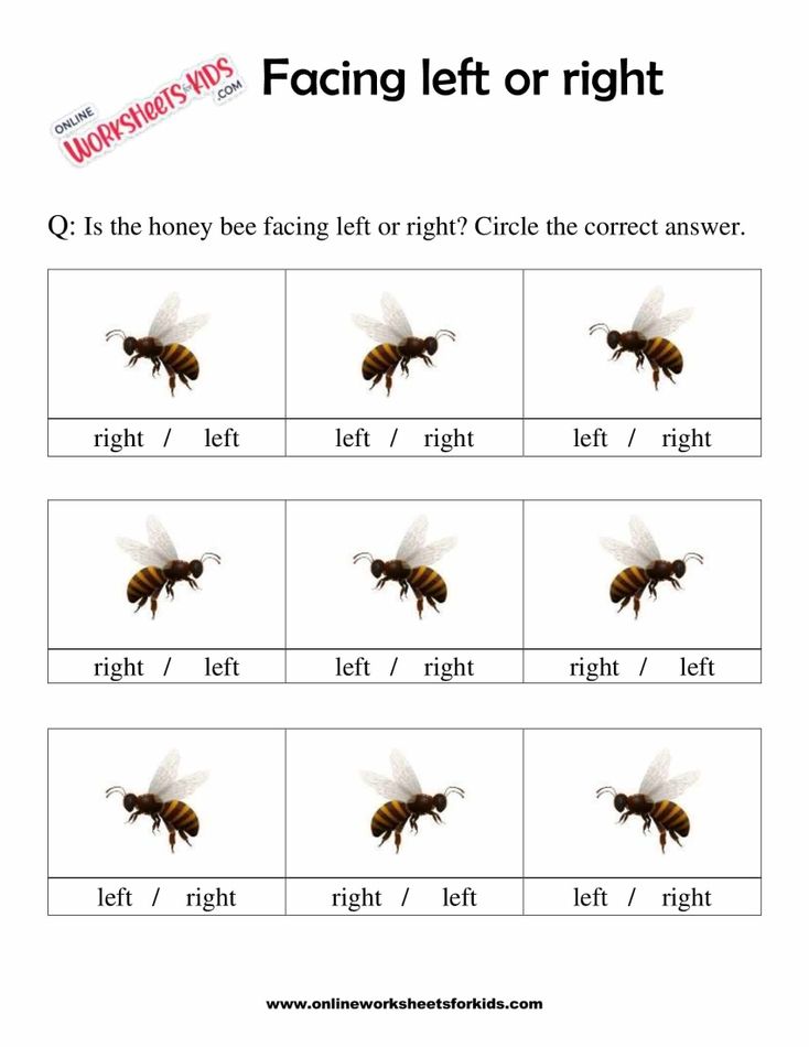 Facing Left And Right Worksheets 2