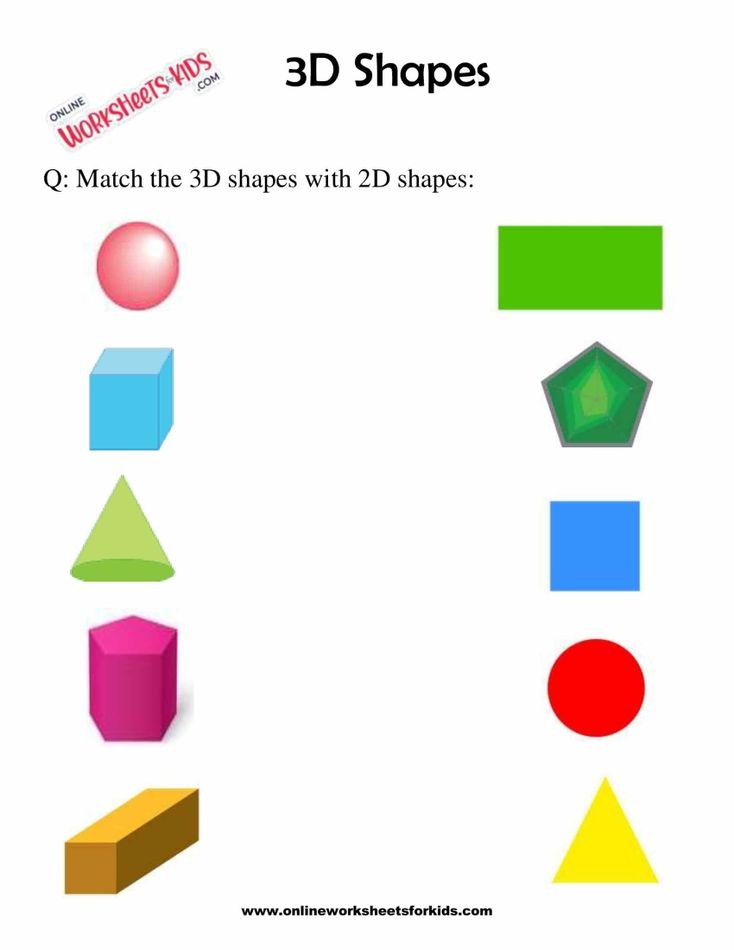 3D Shapes Worksheets 1st Grade 6