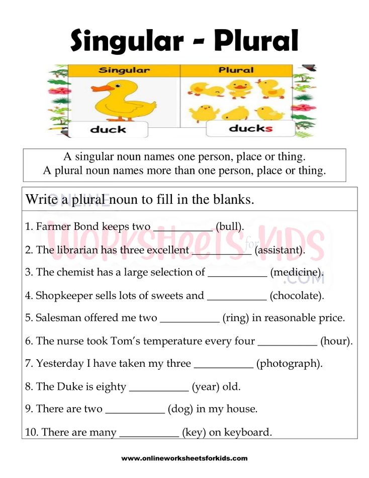 Singular and Plural Nouns FB Worksheet 7