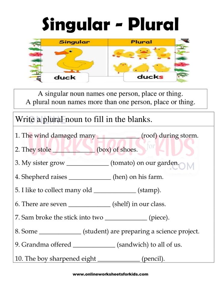 Singular and Plural Nouns FB Worksheet 4