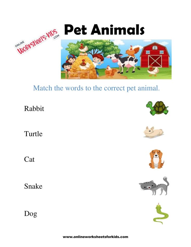 Pet Animals Worksheet 3