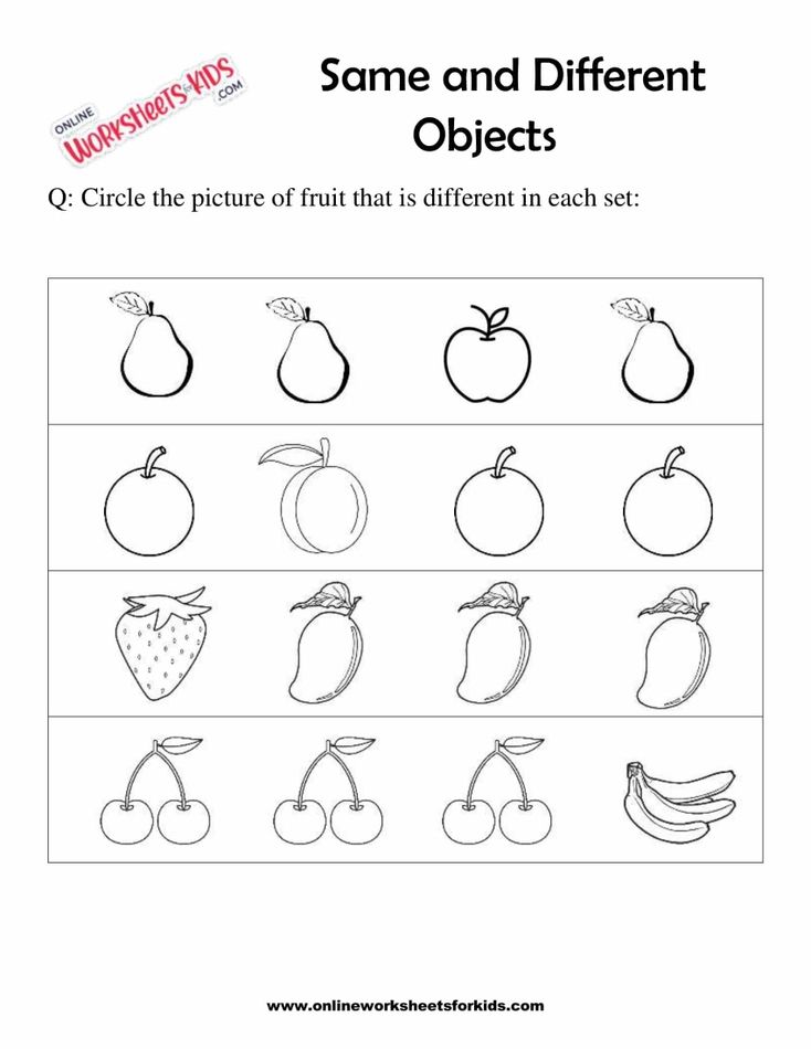 Circle The Object That Is The Same 8