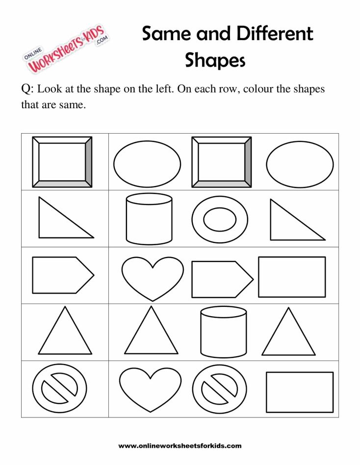 Identify The Shapes That Are The Same 2