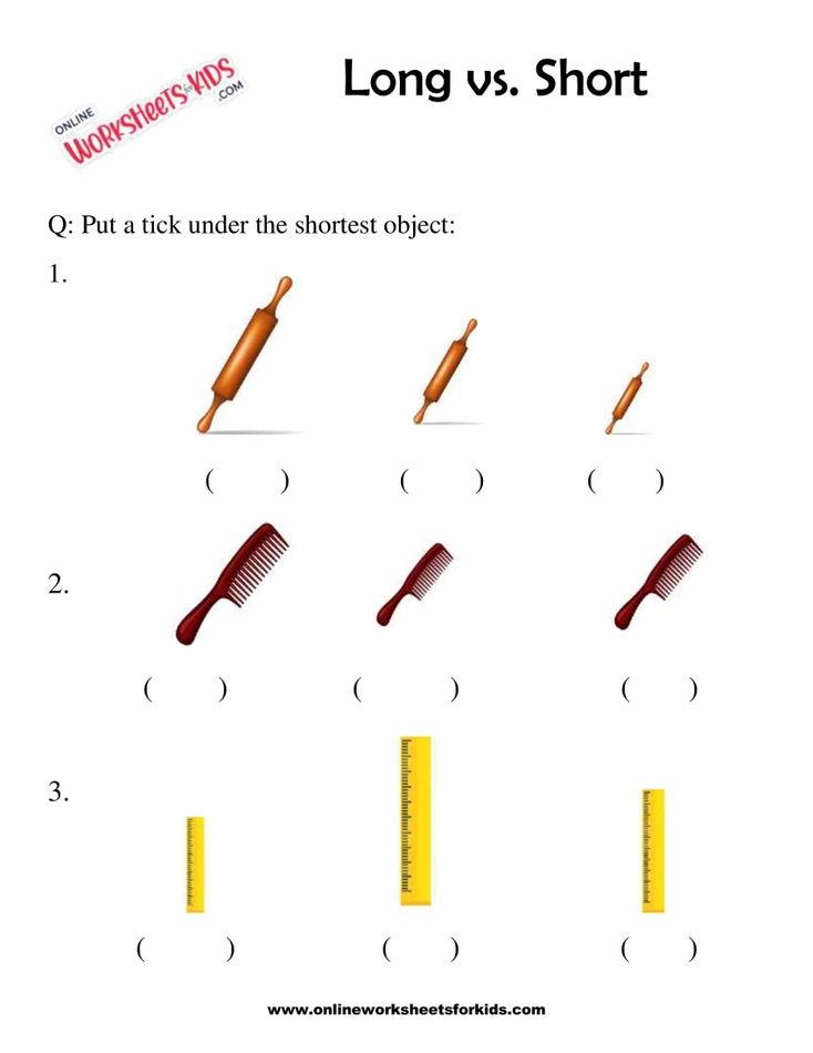 Circle The Longer Or Shorter Object 7