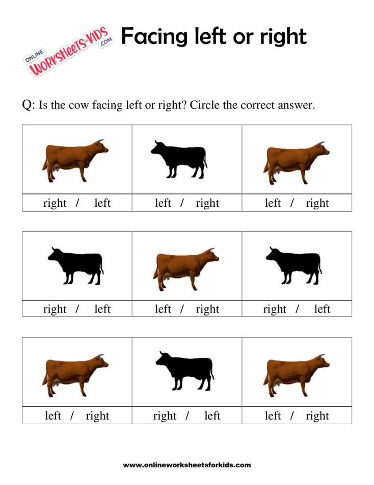 Facing Left And Right Worksheets 5