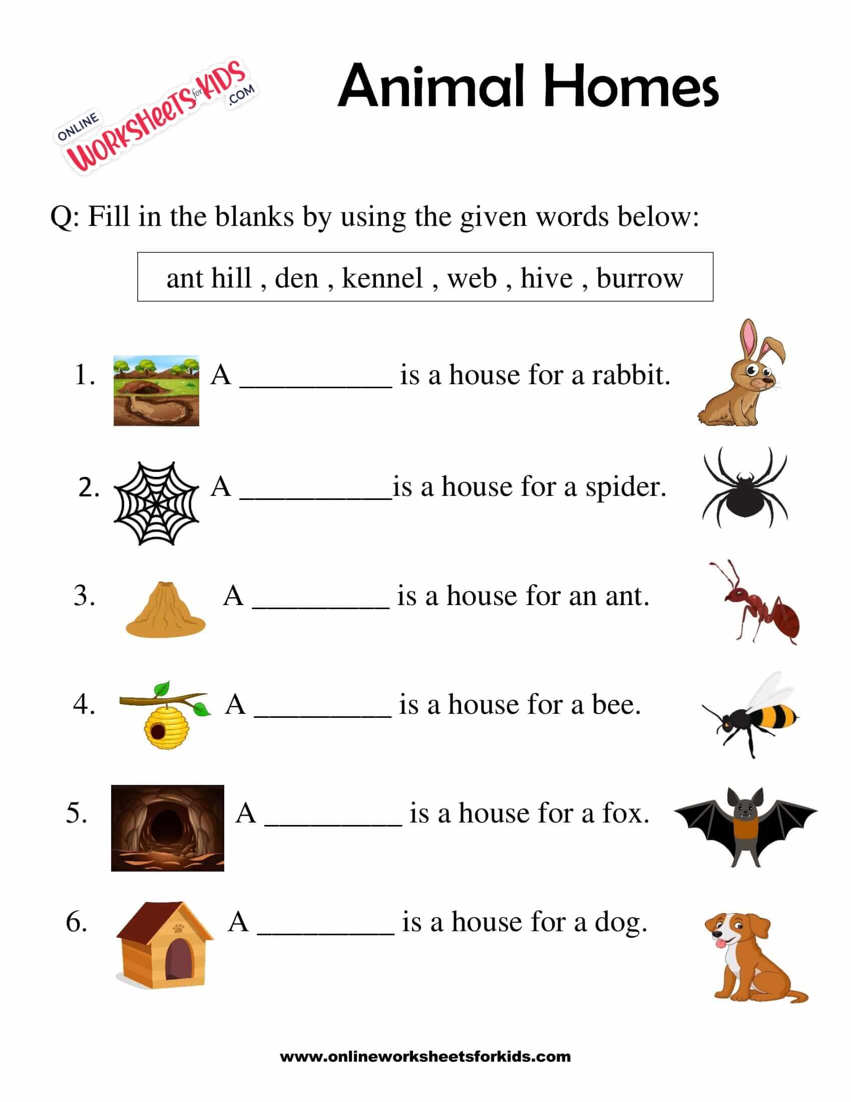 Animals And Their Homes Worksheet English