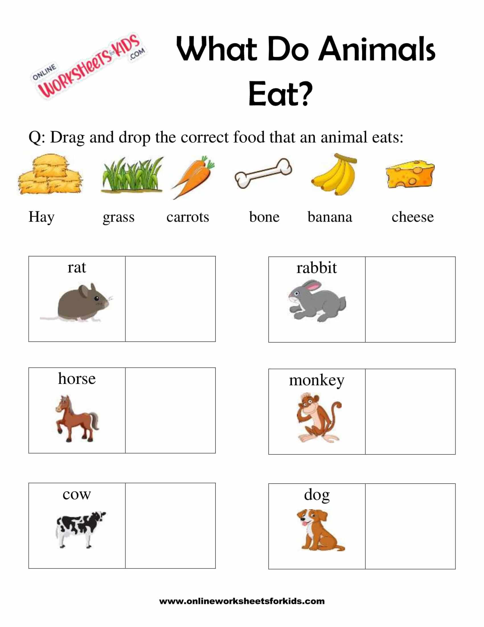 What Do Animals Eat Worksheet For Grade 1 5