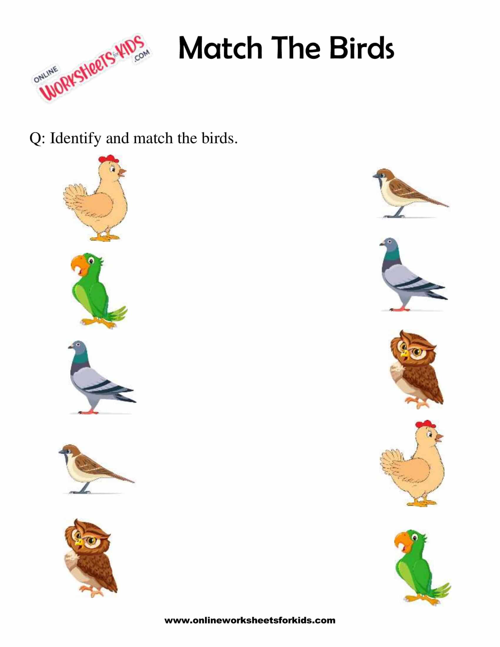 dowload free printable birds for preschoolers