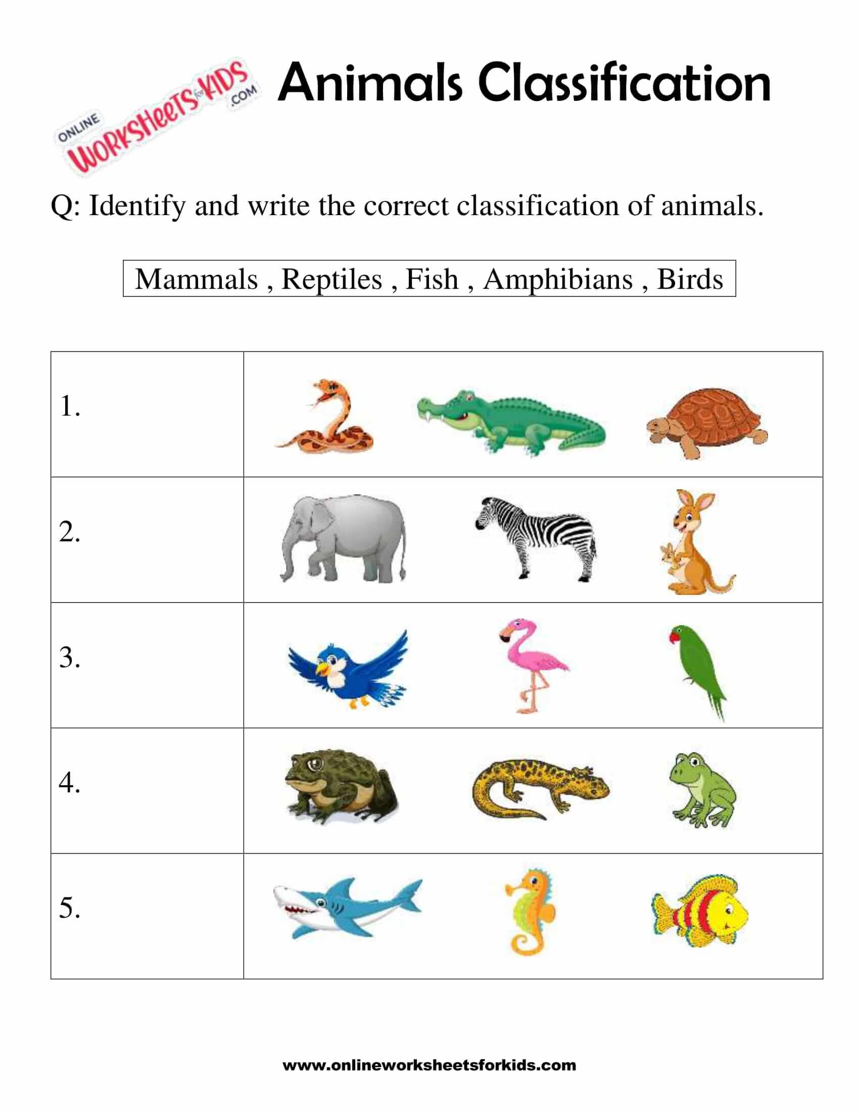 Animals Classification Worksheet For 1st Grade 2