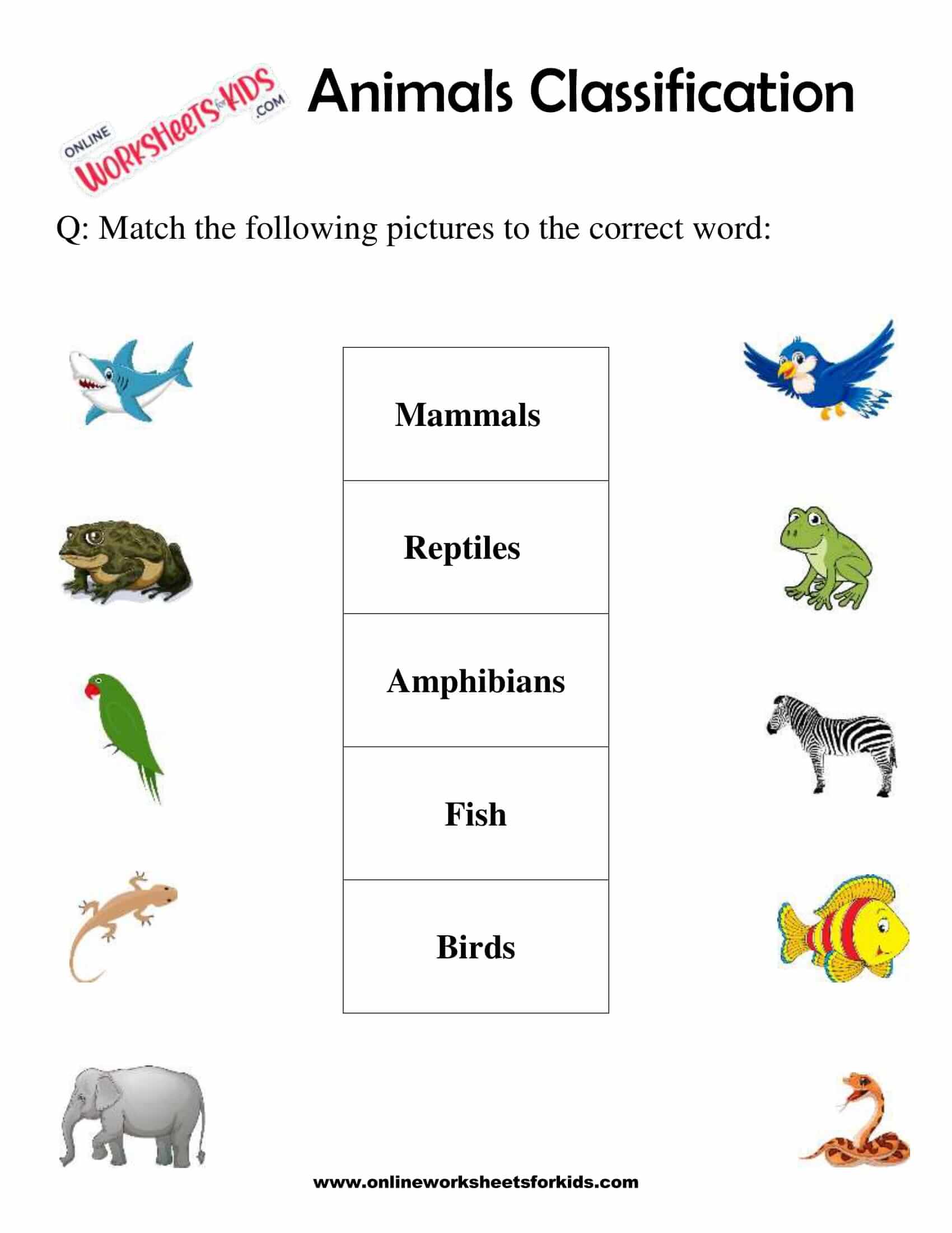 classification of animals worksheet