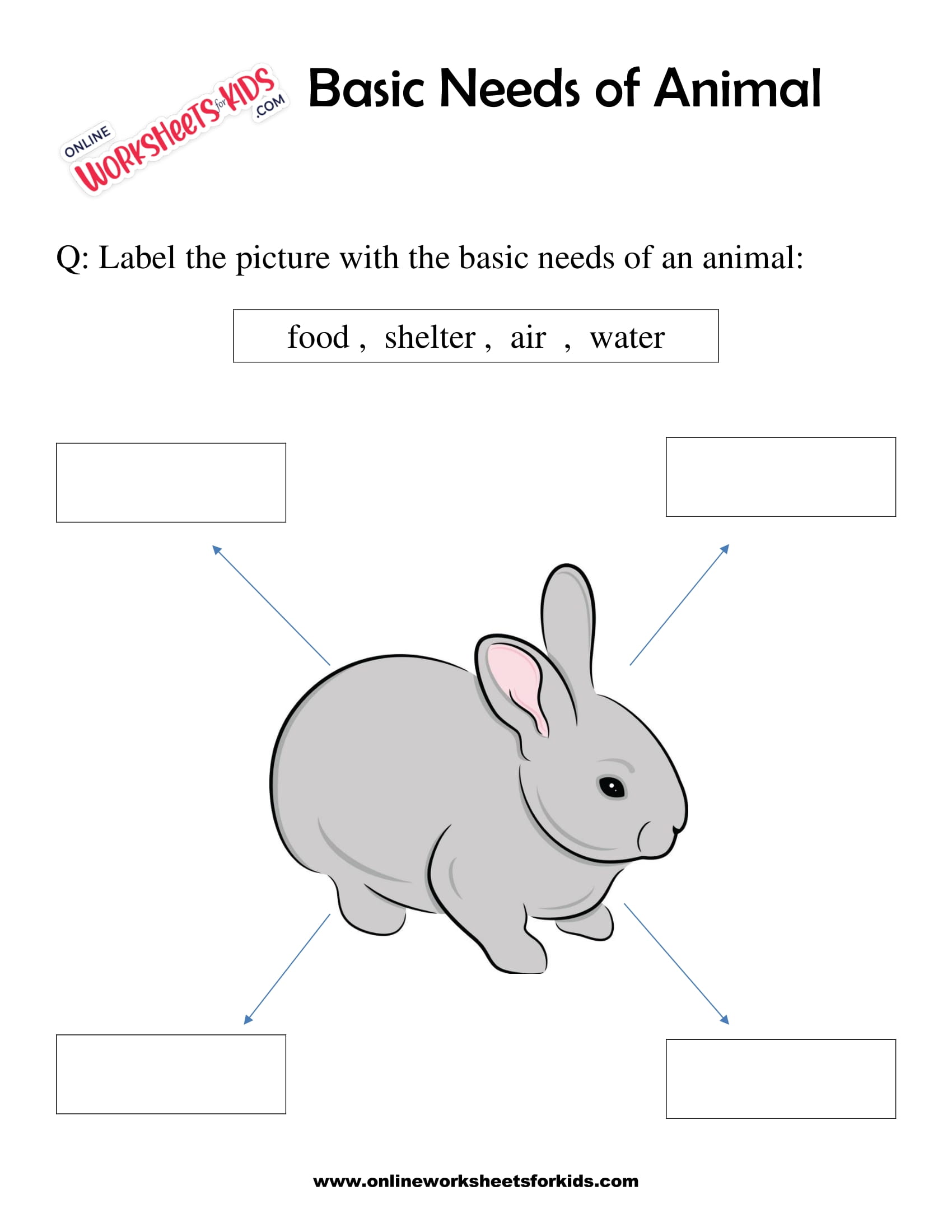 basic-needs-of-animal-worksheet-for-grade-1-8