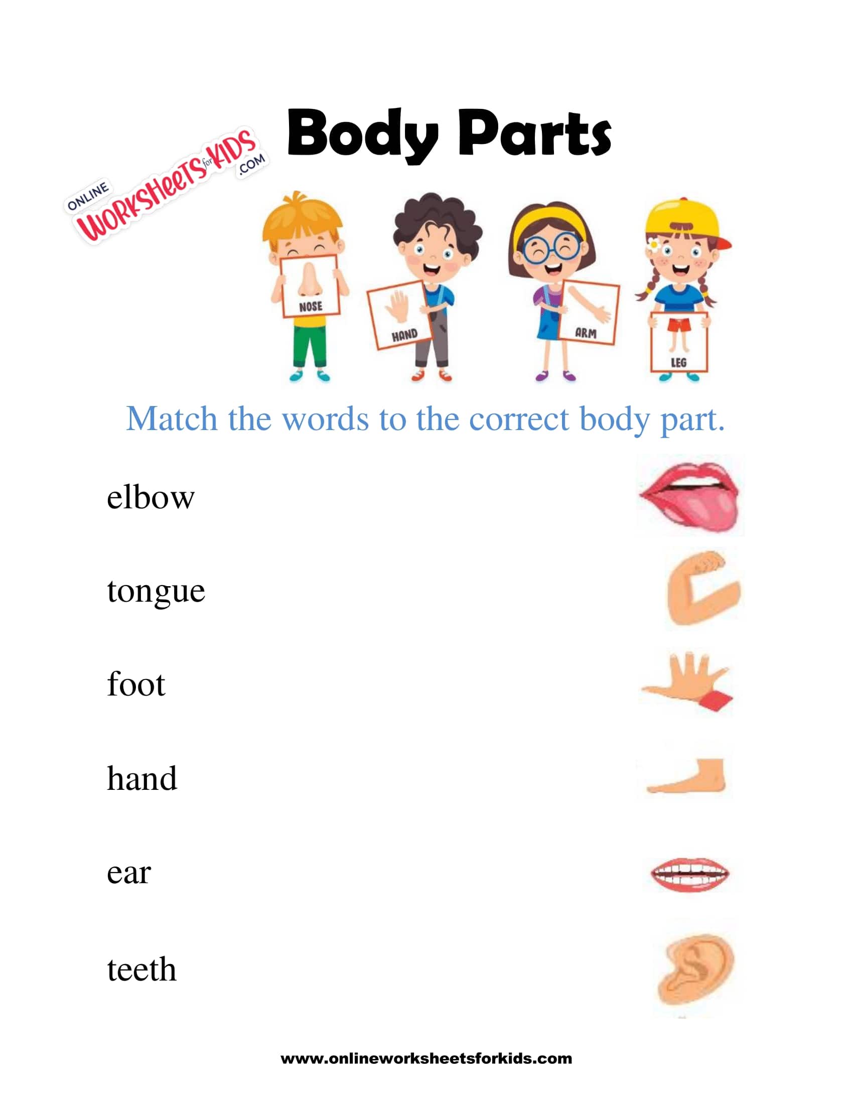 body parts worksheet 1